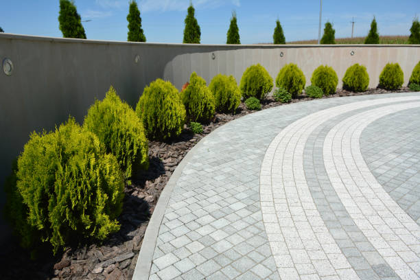 Best Local Driveway Pavers  in Darby, PA